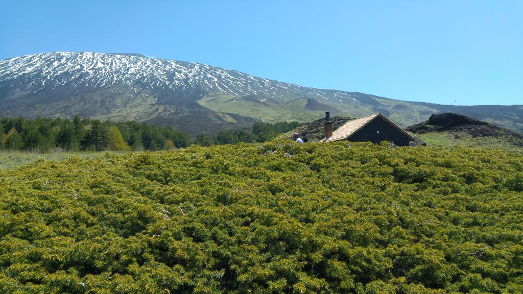 Etna Bike Holiday Zafferana Etnea Eksteriør billede