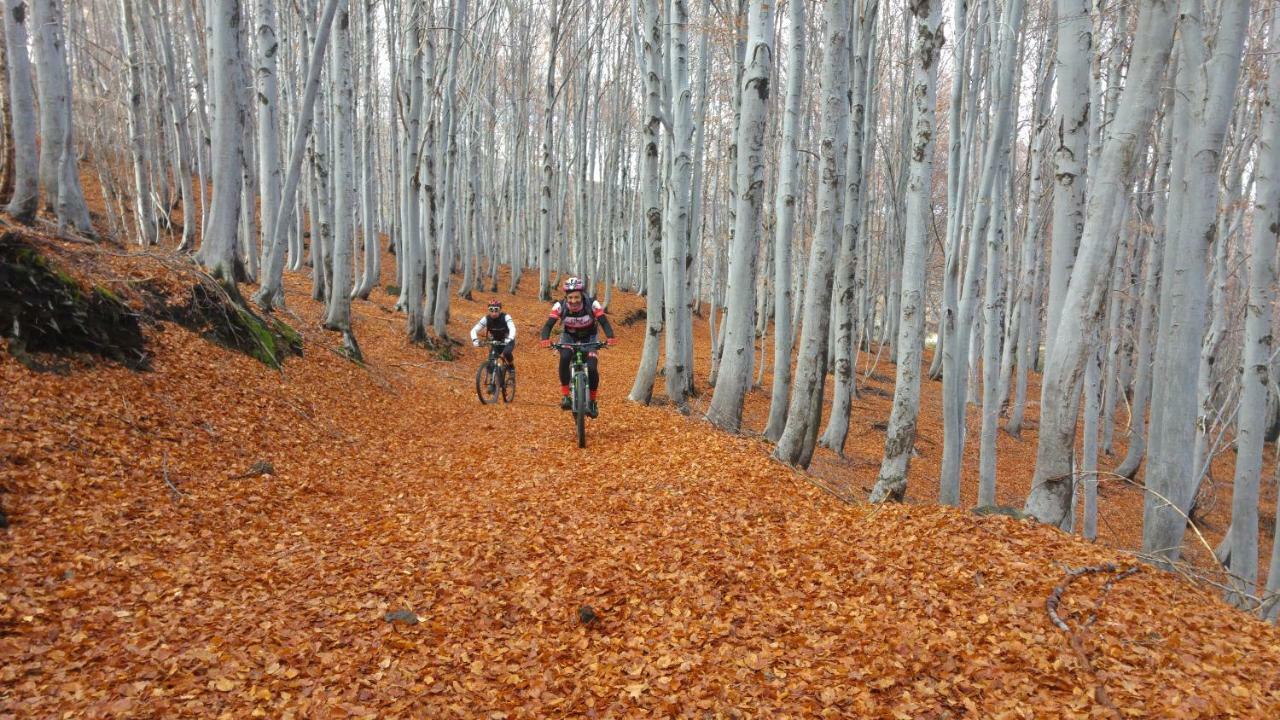 Etna Bike Holiday Zafferana Etnea Eksteriør billede