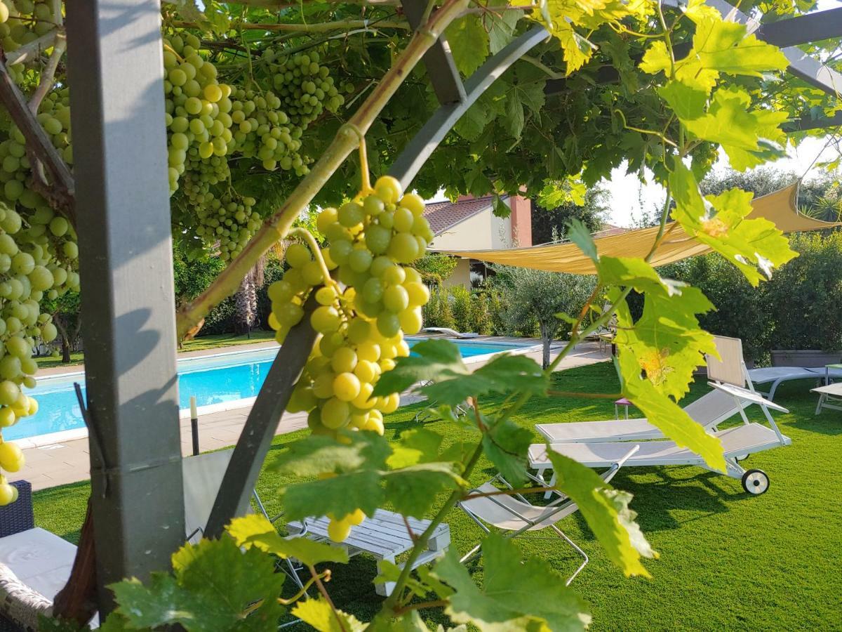 Etna Bike Holiday Zafferana Etnea Eksteriør billede